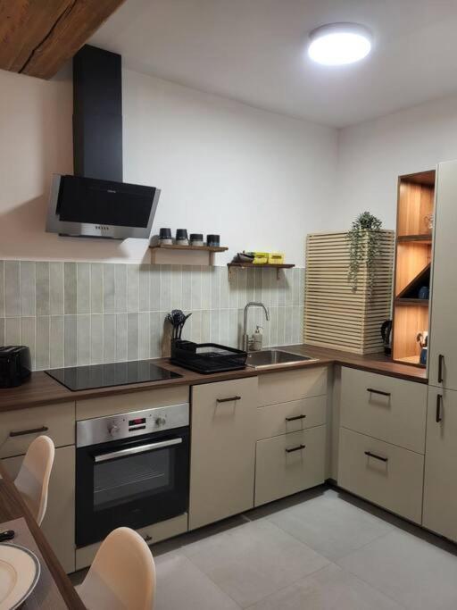 O Bon'Endroit - Appartement Confort - Centre Ville Vienne  Eksteriør bilde